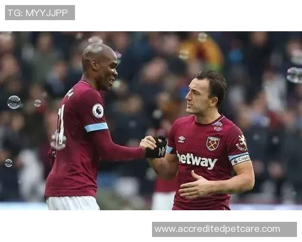 西汉姆联主场迎战赫尔城全力争胜的关键对决分析 西汉姆联主场迎战赫尔城全力争胜的关键对决分析