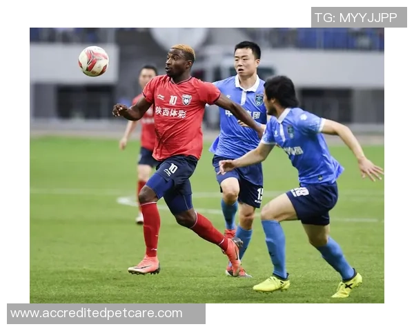 陕西大秦之水与沈阳城市建设的交融与发展探讨 陕西大秦之水与沈阳城市建设的交融与发展探讨