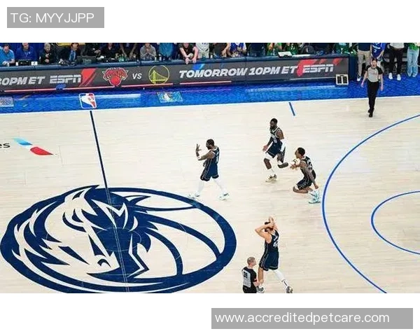 勇士与独行侠激战正酣2月5日NBA精彩对决引发球迷热议