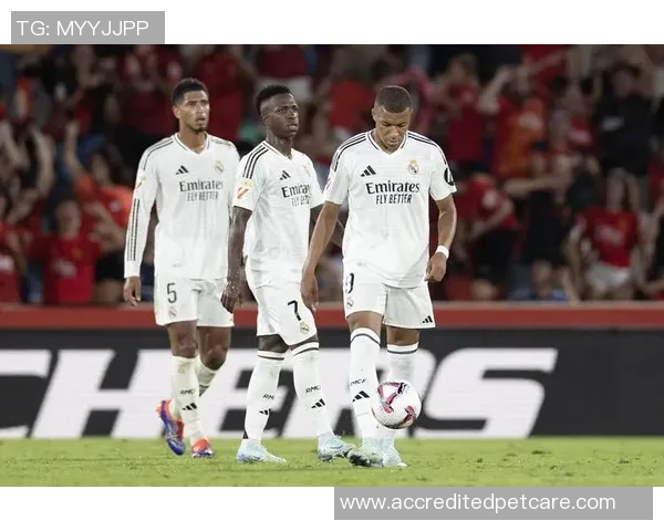 国际冠军杯精彩对决皇马与马竞直播全程回顾与分析