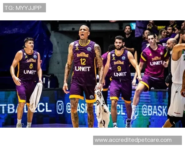 夏普尔埃拉特与霍隆夏普尔激战正酣谁能在这场对决中笑到最后 夏普尔埃拉特与霍隆夏普尔激战正酣谁能在这场对决中笑到最后