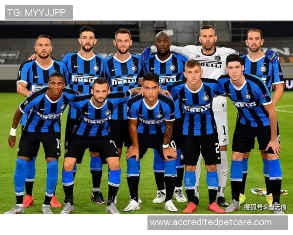 波尔图与顿涅茨克矿工阵容对比分析及战术解析