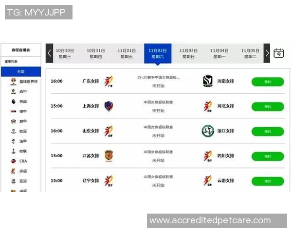 11月15日智甲联赛奥达斯对阵科金博精彩直播全程回顾与分析