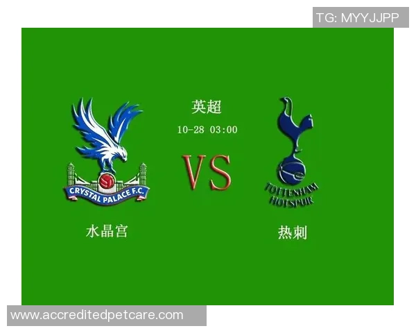 1月28日水晶宫对阵热刺比赛结果分析及精彩瞬间回顾 1月28日水晶宫对阵热刺比赛结果分析及精彩瞬间回顾