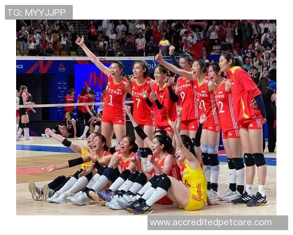 2013年世界女排大奖赛总决赛中国队对阵日本队精彩回顾与赛况分析