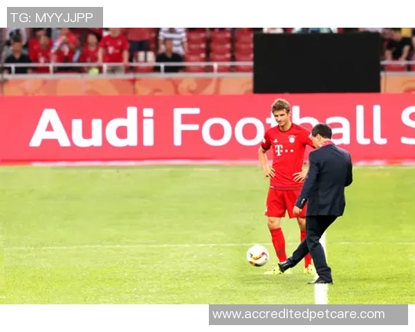 世界杯激情对决葡萄牙与摩洛哥的巅峰对决即将开启 世界杯激情对决葡萄牙与摩洛哥的巅峰对决即将开启