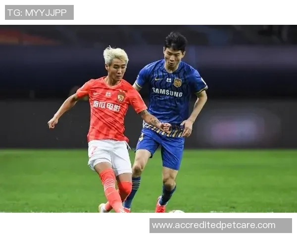 中超决赛恒大对苏宁直播回顾主裁判表现引发热议 中超决赛恒大对苏宁直播回顾主裁判表现引发热议