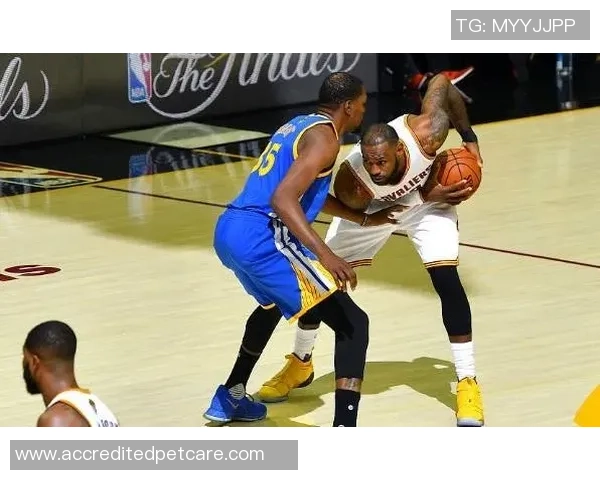 勇士与骑士2017总决赛第五场精彩回放全景解析与赛后点评