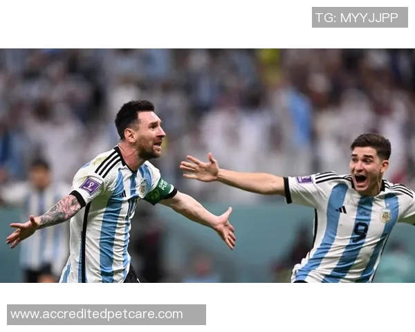 彩票世界杯阿根廷对阵冰岛让球分析及投注建议