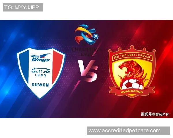 水原三星对阵广州恒大直播信息及比赛地点详解