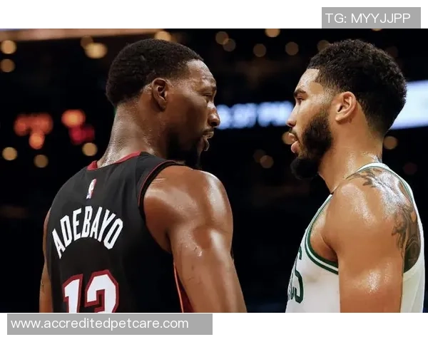 湖人对决热火2020年10月5日精彩直播回顾与分析 湖人对决热火2020年10月5日精彩直播回顾与分析