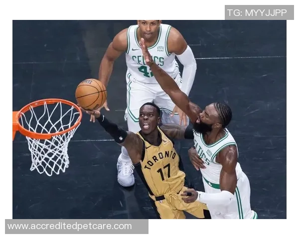 猛龙与凯尔特人精彩对决直播链接分享及赛前分析九月十二日 猛龙与凯尔特人精彩对决直播链接分享及赛前分析九月十二日