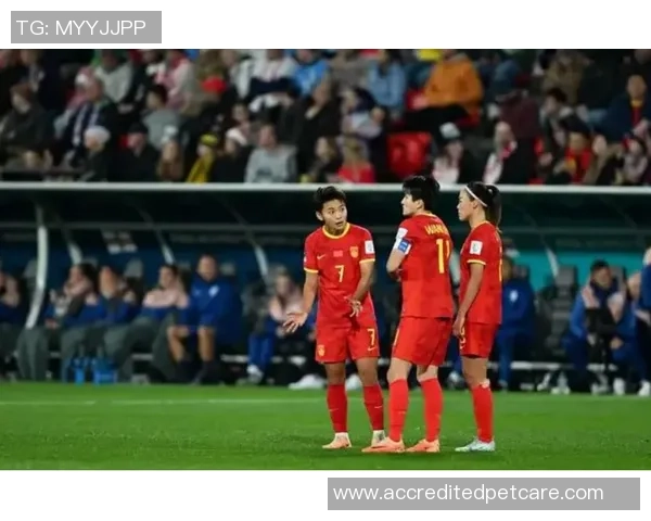 达尔库尔德人与马尔默的精彩对决结果揭晓引发热议