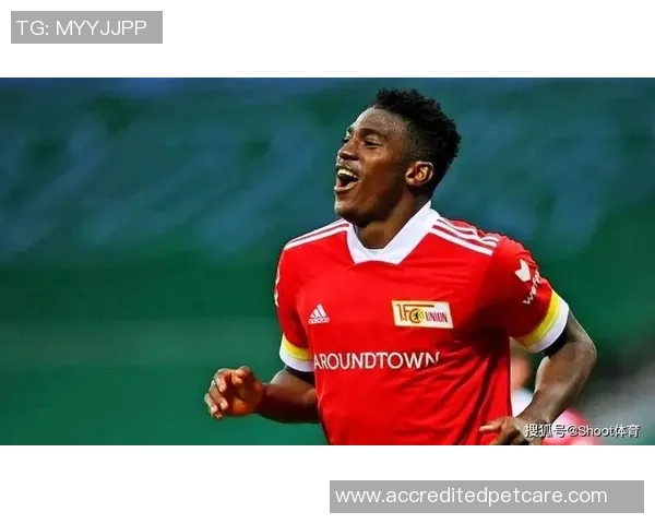 霍芬海姆与布拉加欧赔分析及比赛前瞻全面解读