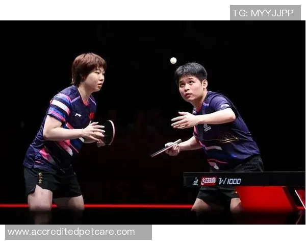 3-2反转！总决赛混双4强诞生 国乒2对组合携手出线 雨果双线出局