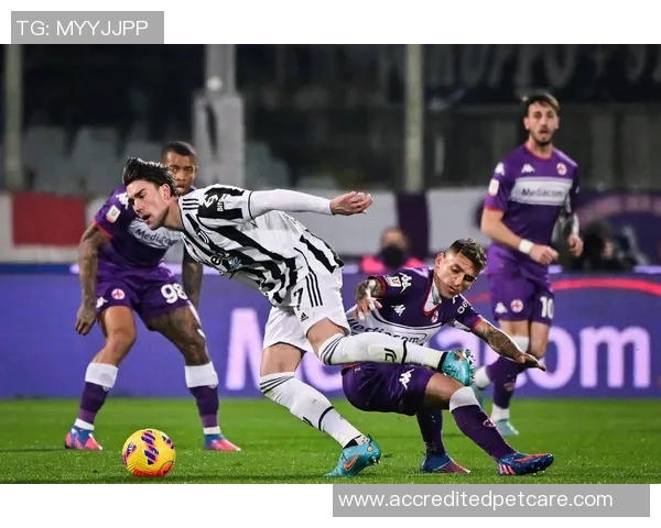 剑南春丨尤文客场1-1佛罗伦萨，科斯蒂奇、曼德拉戈拉国际波