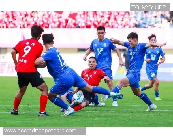 学习“苏超”好榜样：草根城市足球联赛究竟改变了什么