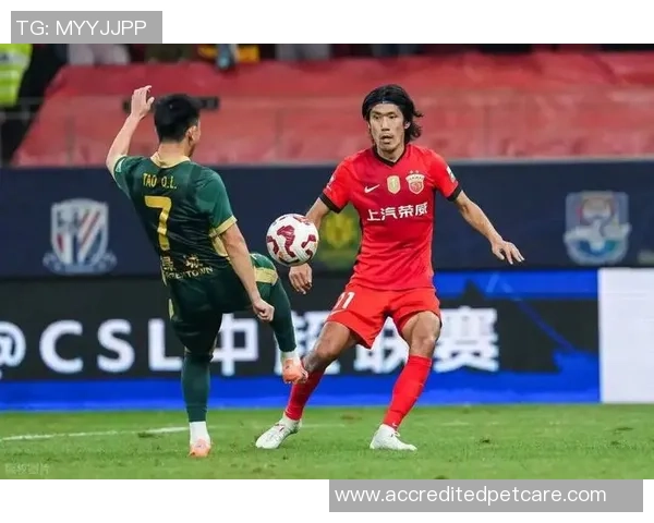 意外伤情触动上海上港,李新翔全运会受伤,吕文君或成要害候补 意外伤情触动上海上港,李新翔全运会受伤,吕文君或成要害候补