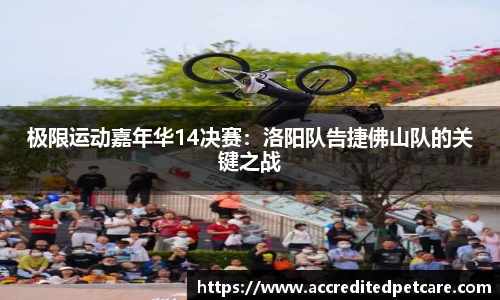 OD体育官方网站
