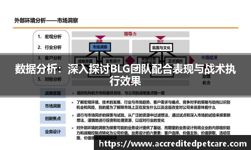 数据分析：深入探讨BLG团队配合表现与战术执行效果