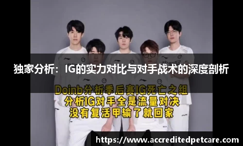 独家分析：IG的实力对比与对手战术的深度剖析