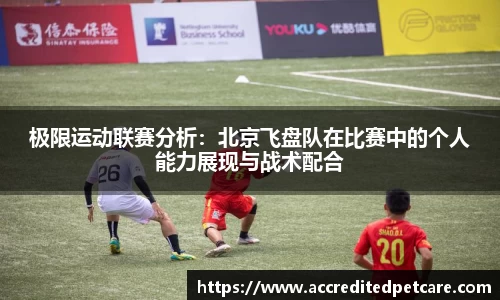 极限运动联赛分析：北京飞盘队在比赛中的个人能力展现与战术配合