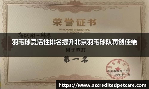 羽毛球灵活性排名提升北京羽毛球队再创佳绩