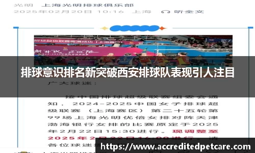 排球意识排名新突破西安排球队表现引人注目