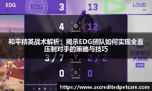 和平精英战术解析：揭示EDG团队如何实现全面压制对手的策略与技巧