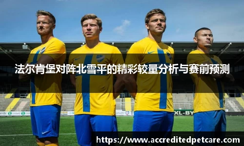 OD体育官方网站
