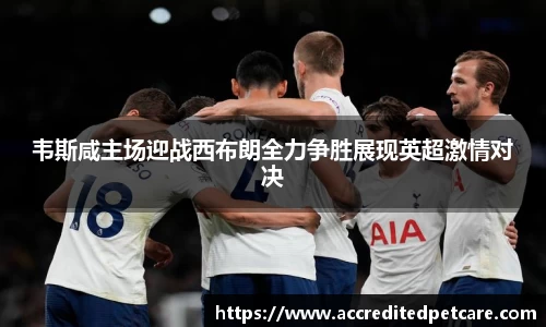 韦斯咸主场迎战西布朗全力争胜展现英超激情对决
