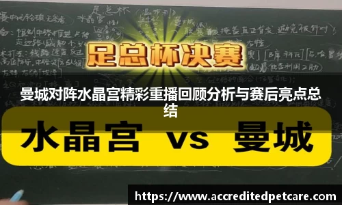 OD体育登录